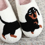 Dachshund Cotton Slippers