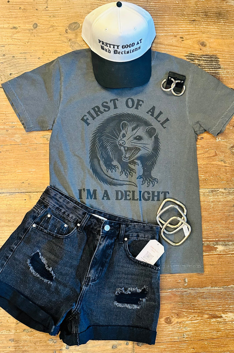 I'm A Delight Tee