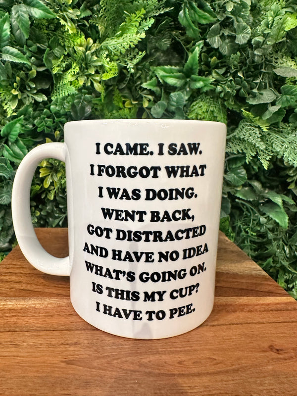 I came and I saw coffee mug